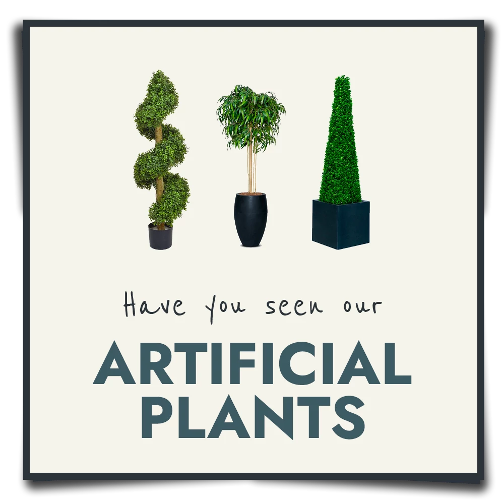 Have you seen our artificial plants