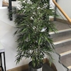 6ft Artificial Bamboo Mini Leaf Tree - Fire Retardant/