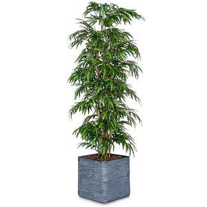 6ft Fire Retardant Artificial Bamboo Mini Leaf Tree/