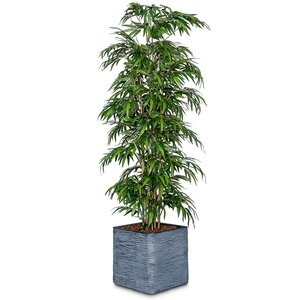 7ft Fire Retardant Artificial Bamboo Mini Leaf Tree/