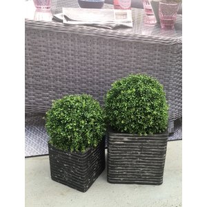 30cm Artificial Boxwood Ball/