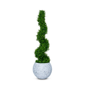 4ft Artificial Boxwood Spiral