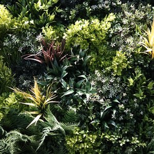 100x100cm Fire Retardant & UV Resistant Mixed Foliage Artificial Green Wall Panel/