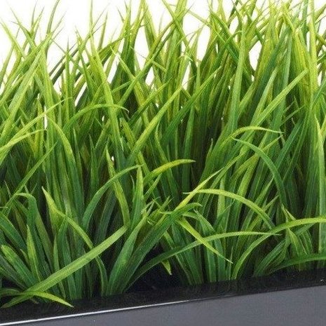 Artificial Grass