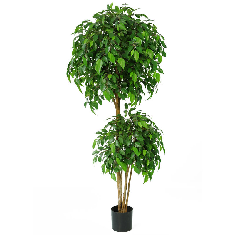 Artificial Ficus Natasha Tropical 150cm with Natural Tree Trunk/