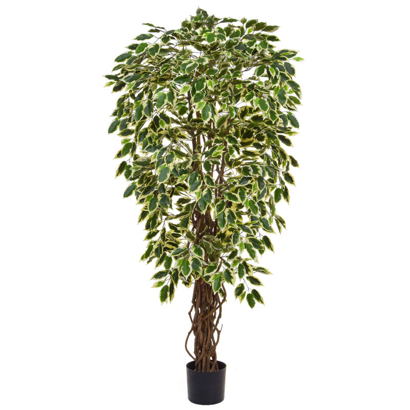 Artificial Ficus Liana Variegated 120cm with Natural Tree Trunk (Fire Retardant)/