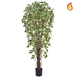 180cm Fire Retardant Artificial Ficus Liana Variegated