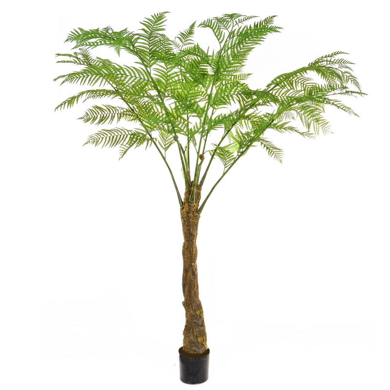 Artificial Alsophila Palm 150cm/