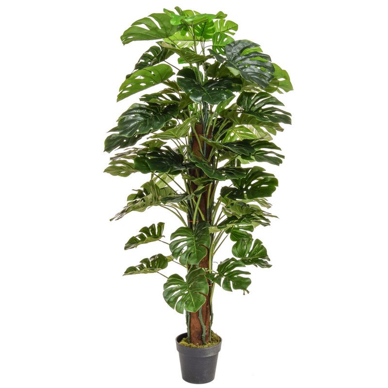 150cm Artificial Monstera with Natural Tree Trunk