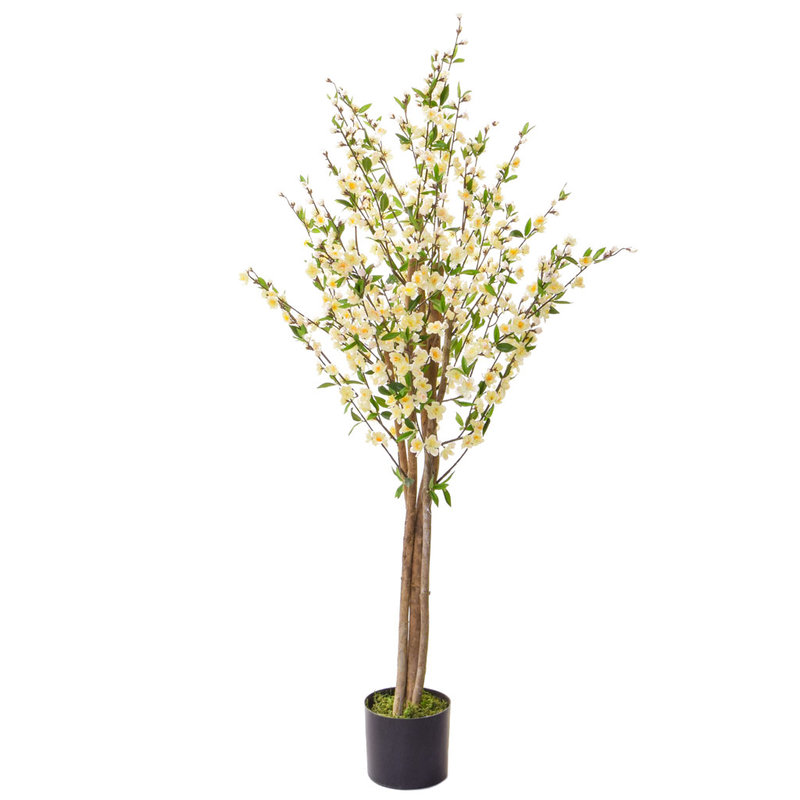 Artificial Cherry Blossom White 150cm with Natural Tree Trunk/