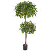 Artificial Ficus Retusa 180cm with Natural Tree Trunk/