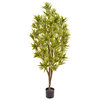 Artificial Dracaena Reflex 170cm with Natural Tree Trunk/