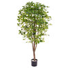 Artificial Schefflera 180cm with Natural Tree Trunk/