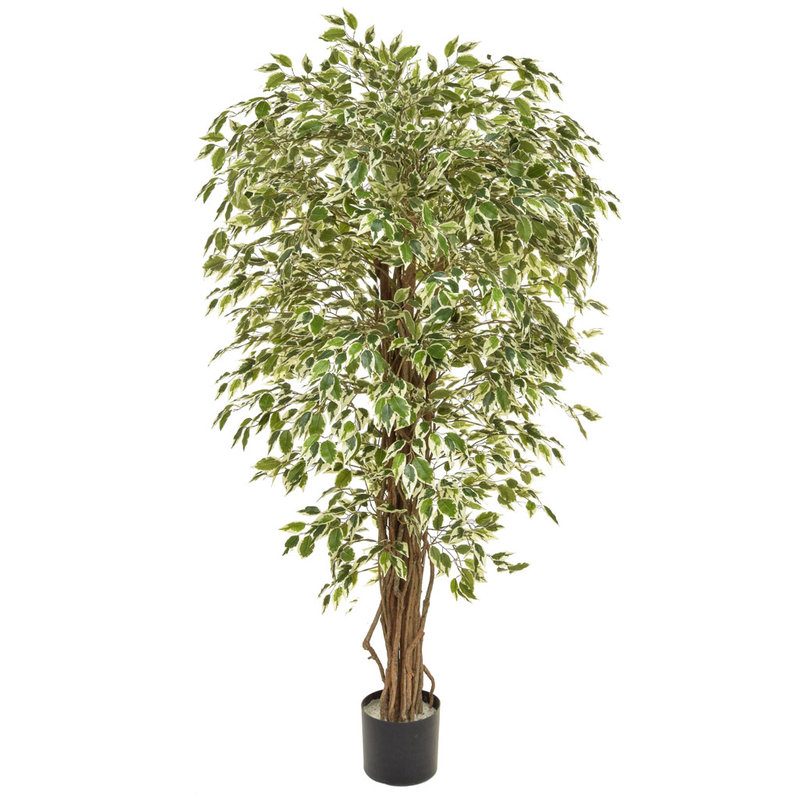 Artificial Ficus Liana Variegated 150cm with Natural Tree Trunk/