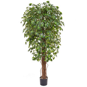 180cm Artificial Ficus Liana Green/