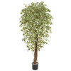 Artificial Ficus Liana Variegated 180cm with Natural Tree Trunk/