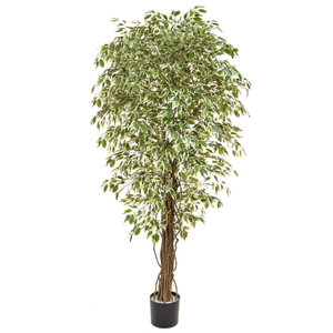180cm Artificial Ficus Liana Variegated/