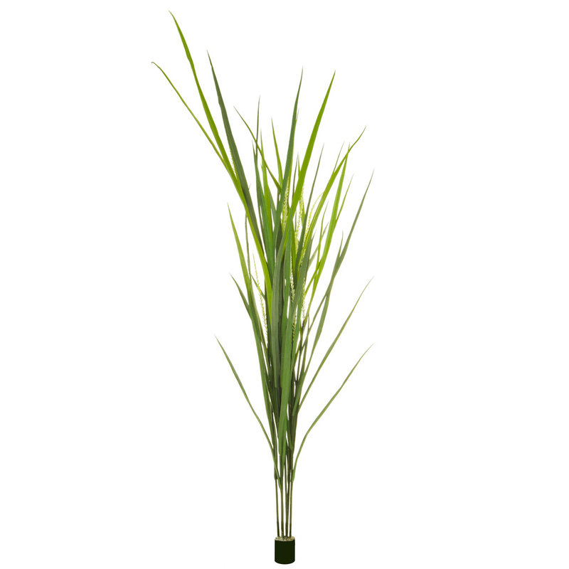 Artificial Grass Reed 180cm (Fire Retardant & UV)/