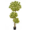 Artificial Dracaena Reflex Multi Layer 180cm with Natural Tree Trunk/