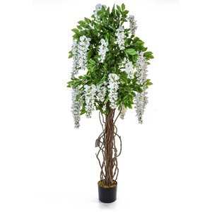 160cm Artificial Flowering White Wisteria