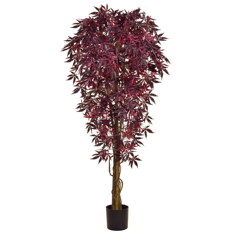 Artificial Japanese Maple Burgundy 180cm with Natural Tree Trunk (Fire Retardant)/