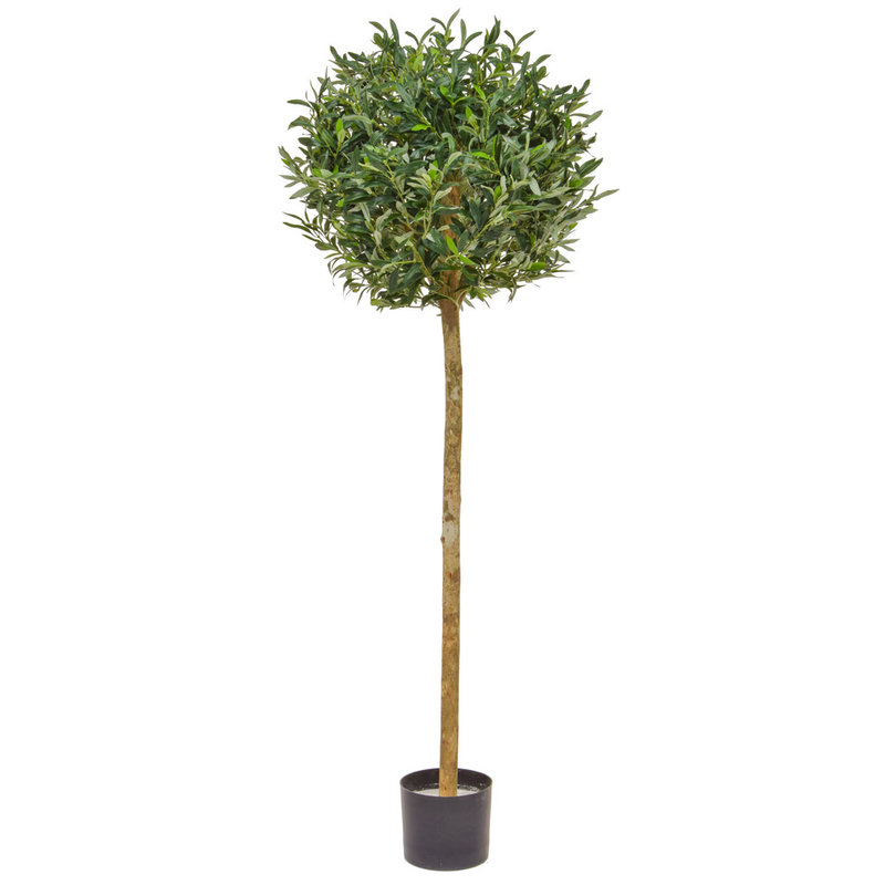 Artificial Olive Ball Tree 150cm with Natural Tree Trunk/