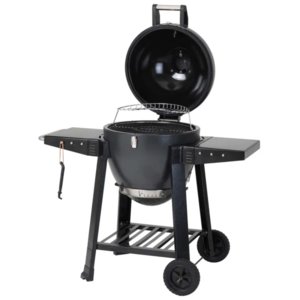 Dragon Egg Charcoal Barbecue/