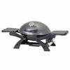 Portable Gas BBQ Grill/