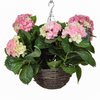 Artificial Hydrangea Hanging Basket Pink 30cm/