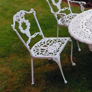 Grape Diner Chair - White/