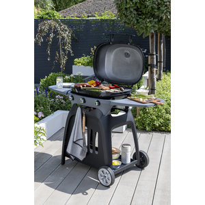 N-Grill 3 Burner Gas Grill/