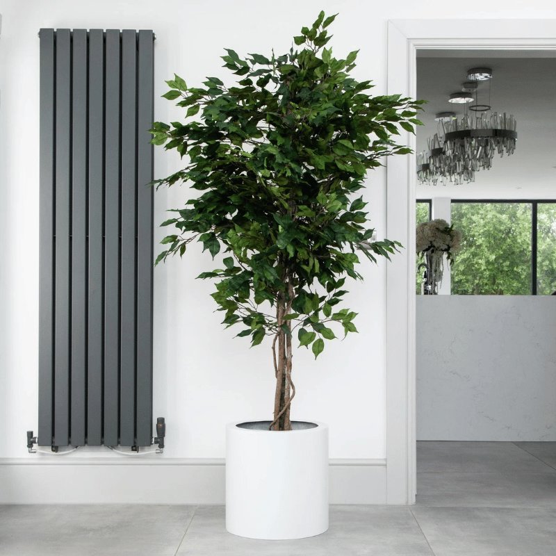 6ft Artificial Ficus Benjamina Tree